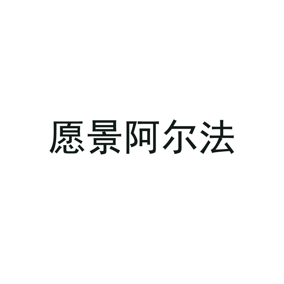 愿景阿尔法