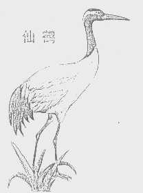 仙鹤
