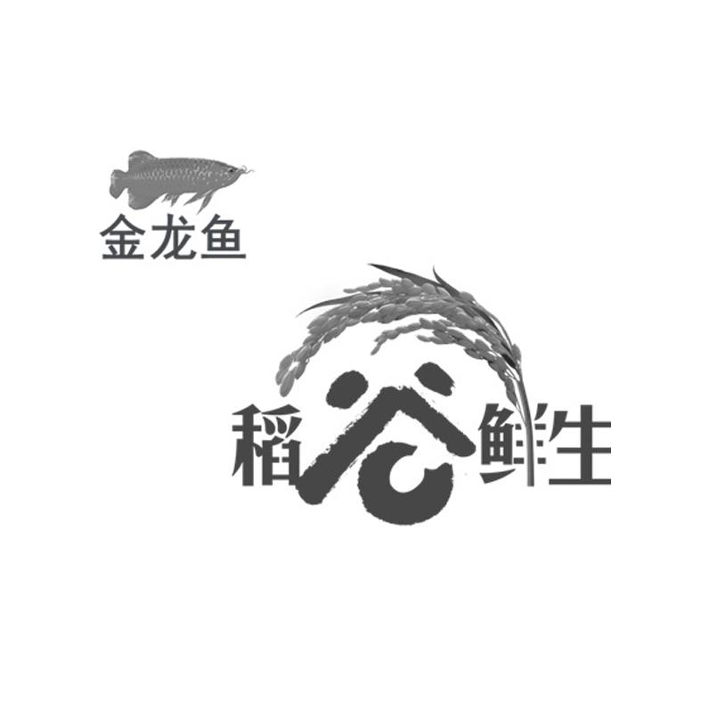 金龙鱼 稻谷鲜生