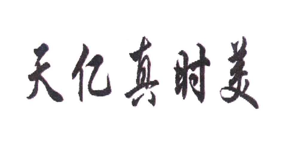 天亿真时美