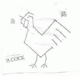 乌鸡;B.COCK