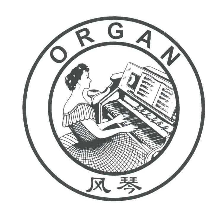风琴;ORGAN