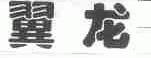 翼龙