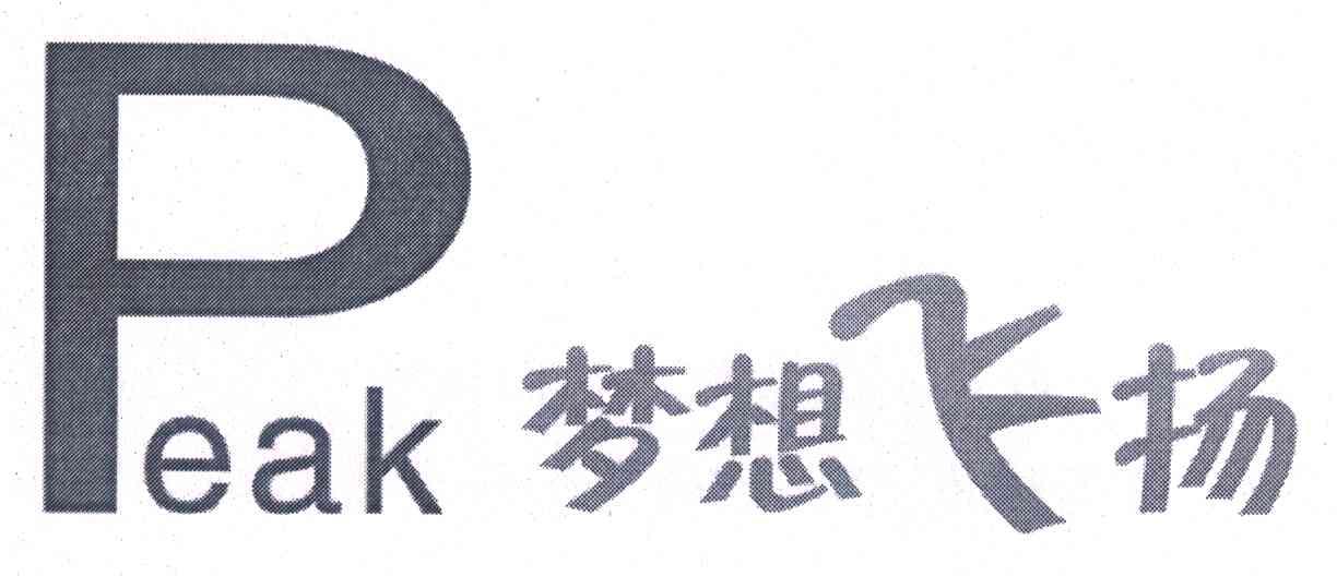 梦想飞扬 PEAK