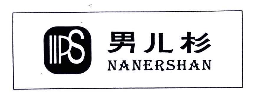 男儿杉