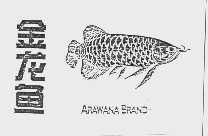 金龙鱼  ARAWANABRAND