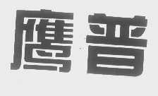 鹰普