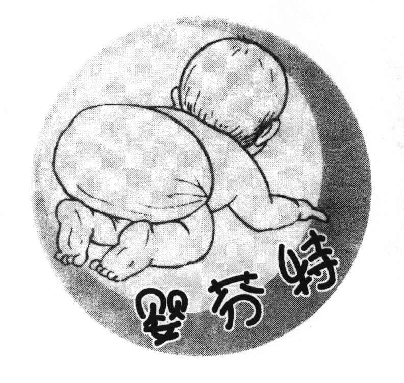 婴芬特
