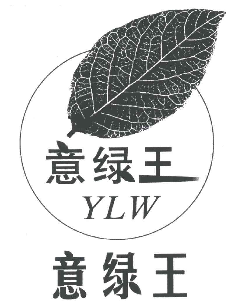 意绿王