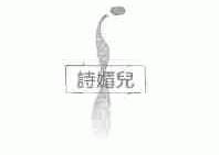 诗媚儿