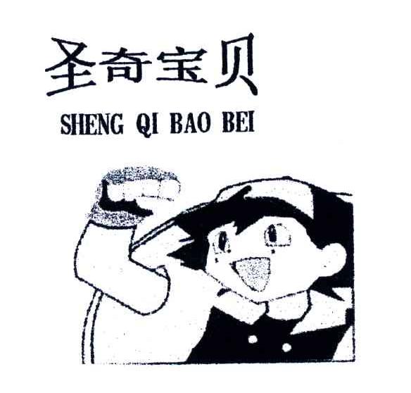圣奇宝贝