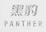 黑豹    PANTHER