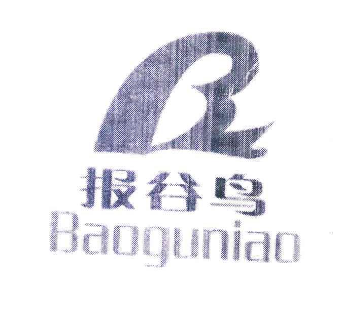 报谷鸟 B