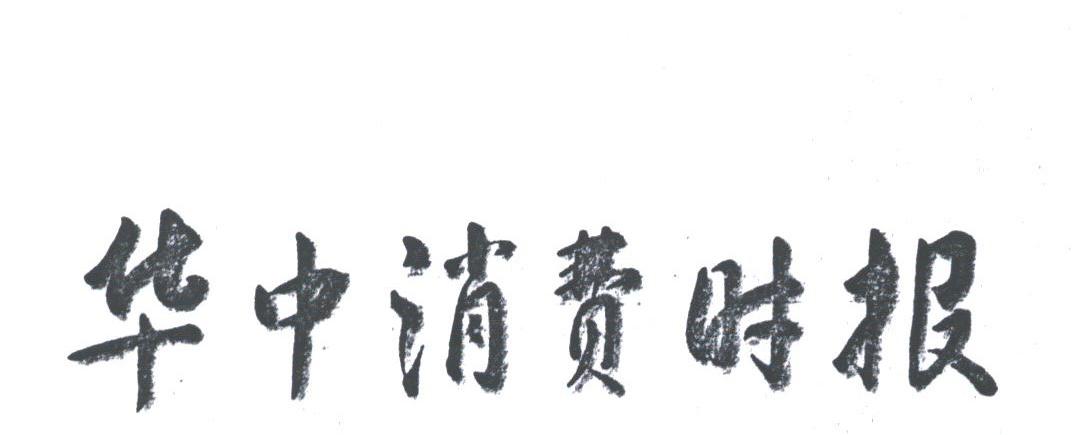 华中消费时报