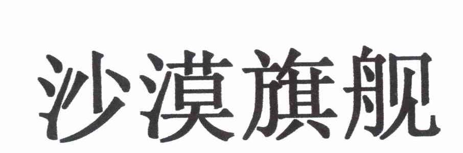 沙漠旗舰