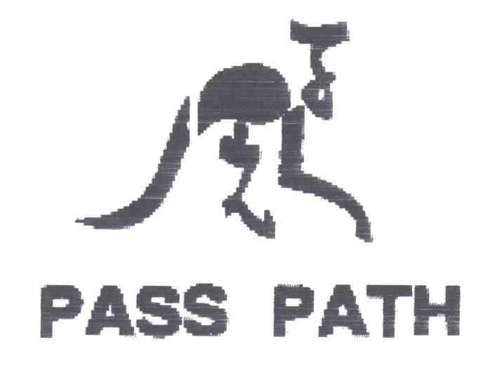 PASS PATH及图形