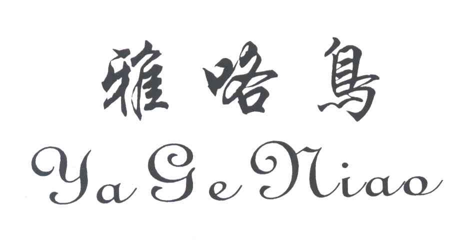 雅咯鸟