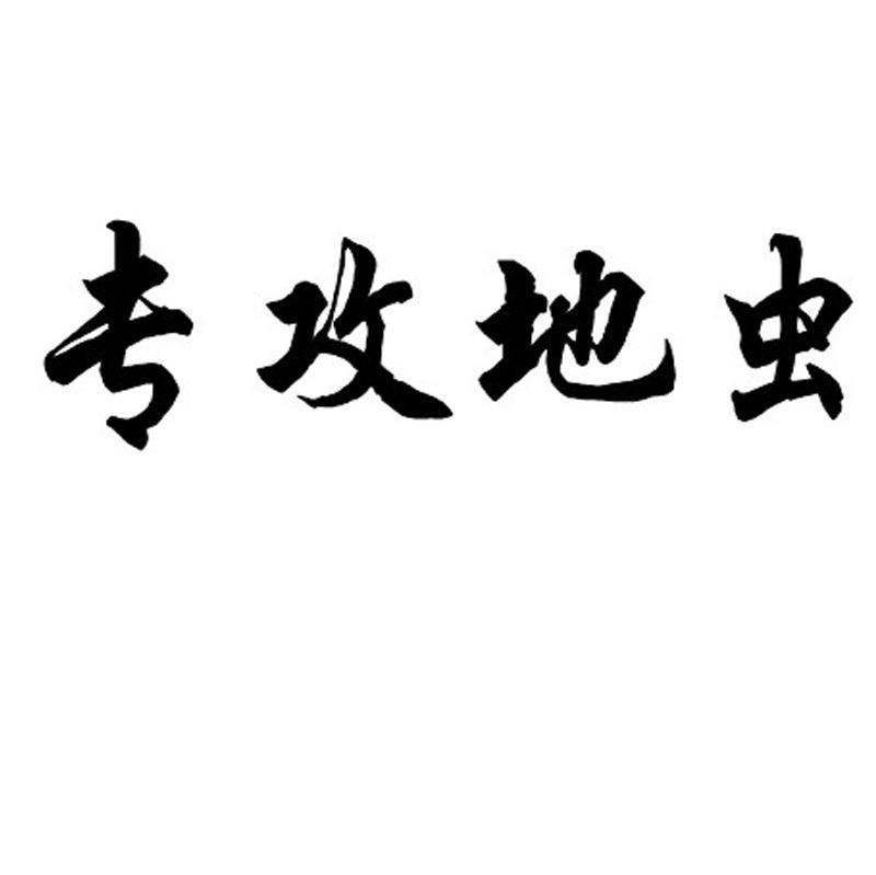 专攻地虫