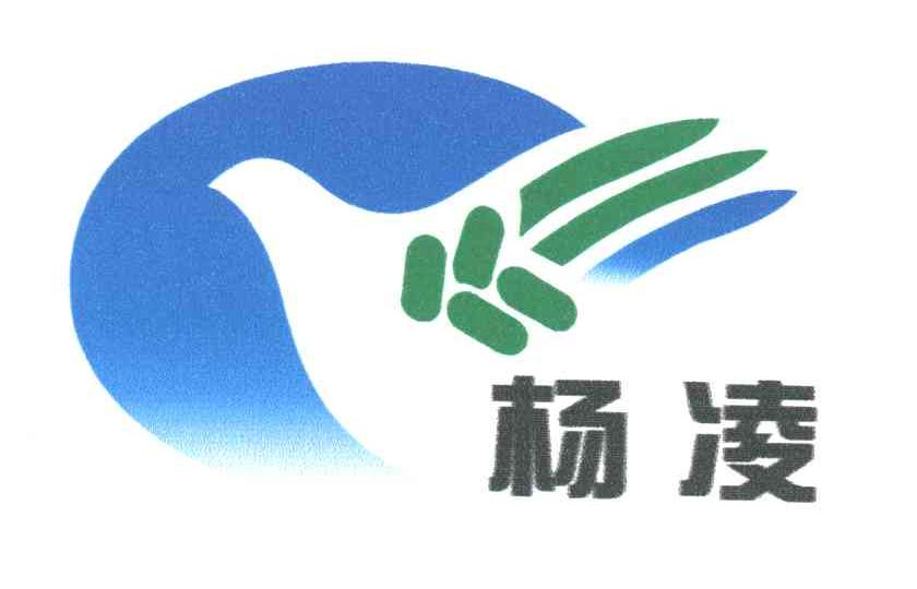 杨凌