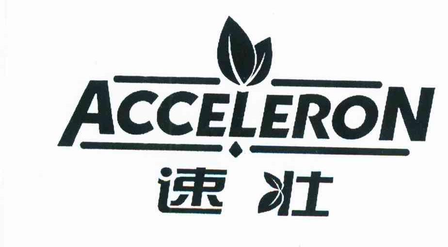 速壮 ACCELERON