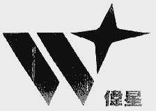 伟星