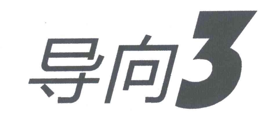 导向3