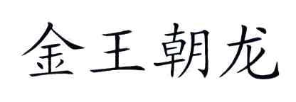 金王朝龙