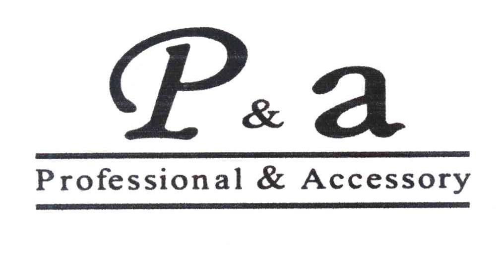 P&A PROFESSIONAL&ACCESSORY