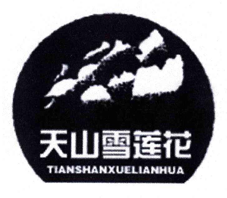 天山雪莲花