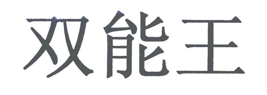 双能王