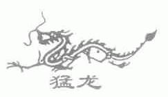 猛龙