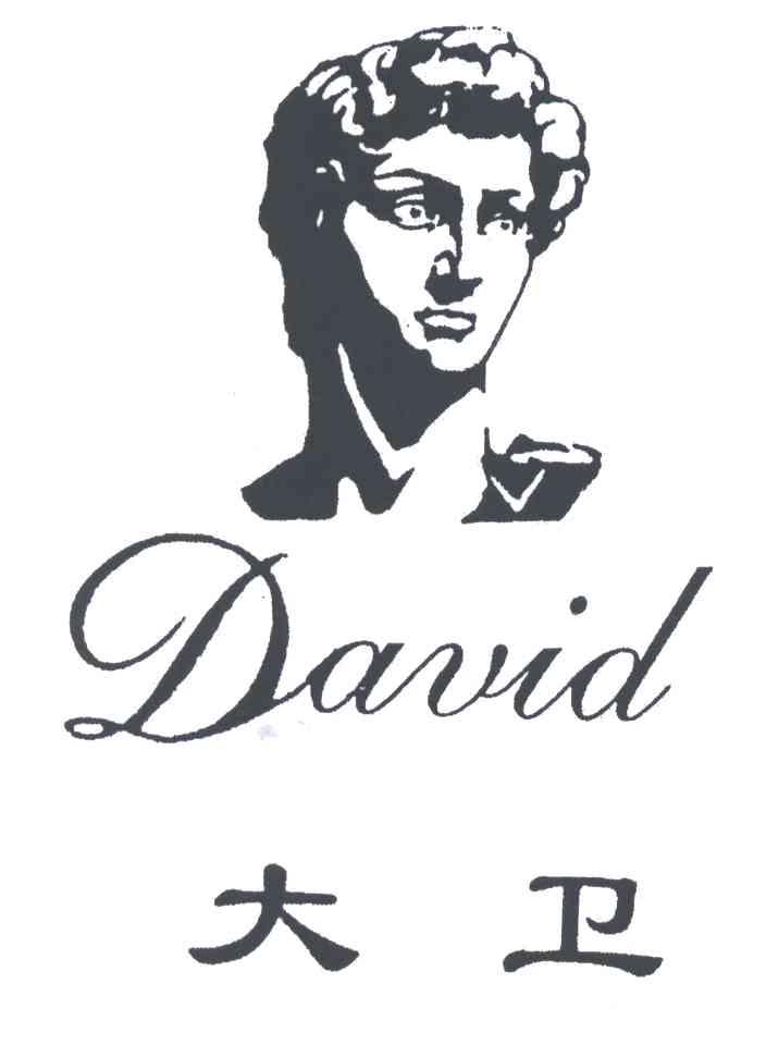 大卫;DAVID