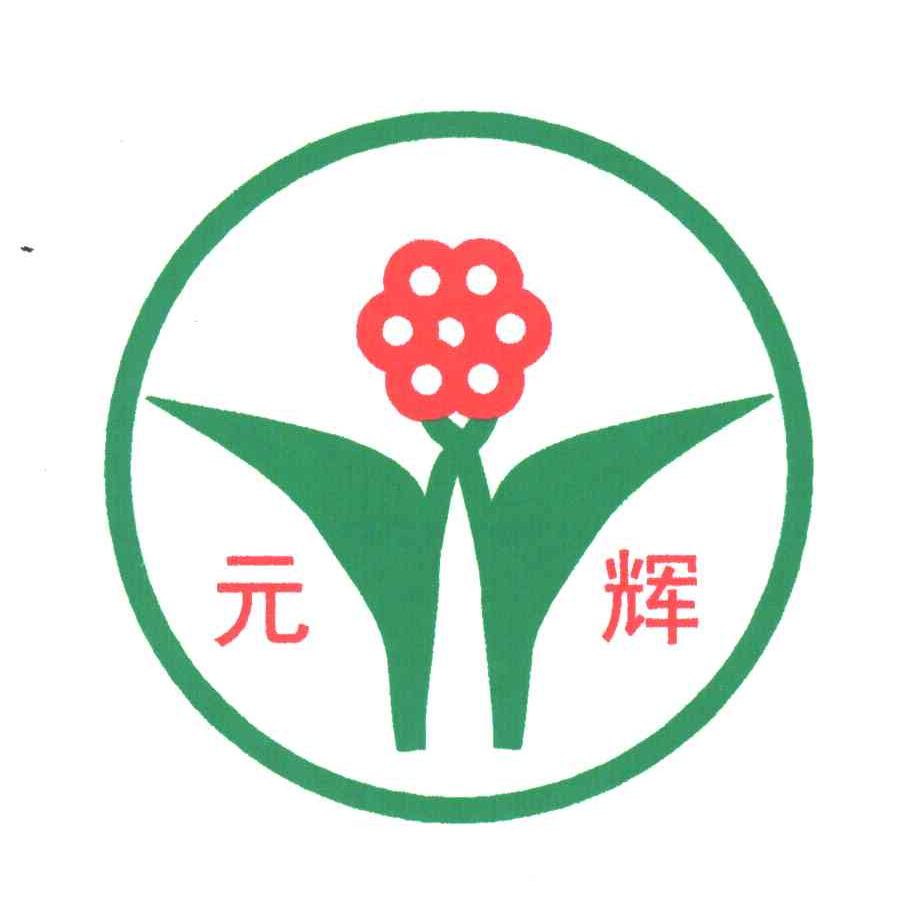 元辉