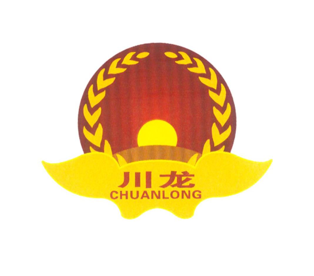 川龙