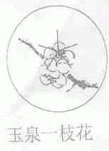 玉泉一枝花