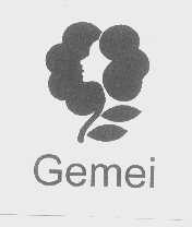 GEMEI