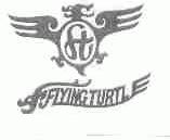 FLYING TURTLE