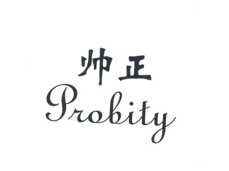 帅正