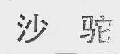 沙驼