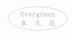 永久花;EVERGREEN
