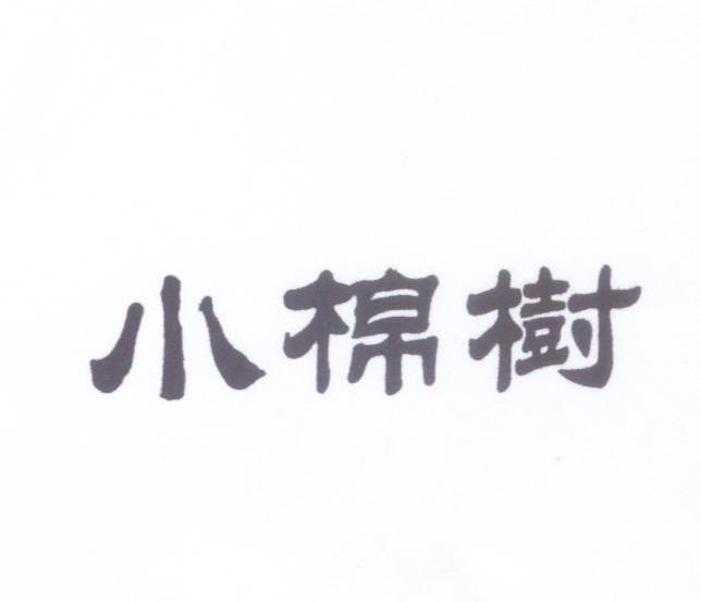小棉树
