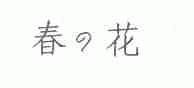 春花