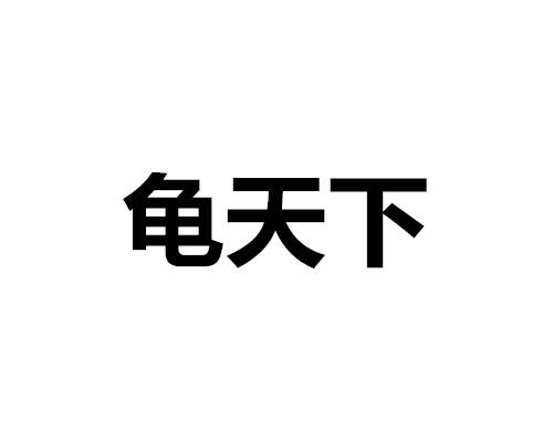 龟天下