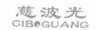慈波光