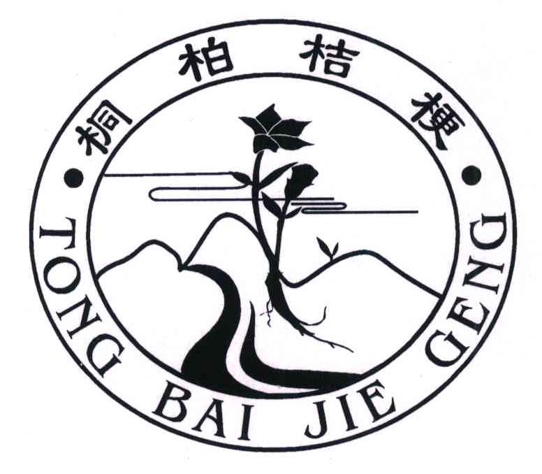 桐柏桔梗