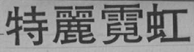 特丽霓虹