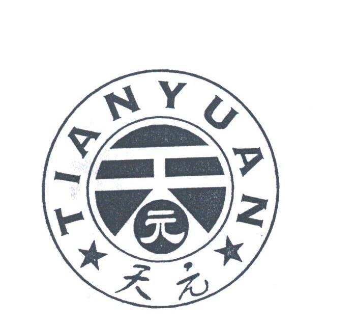 天元
