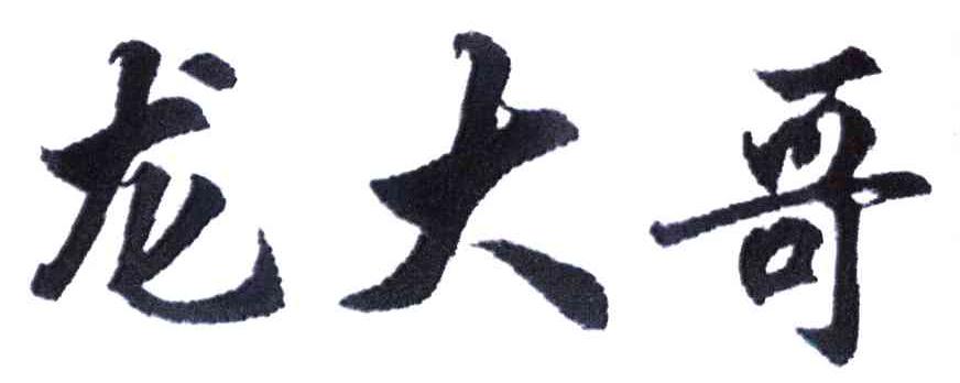 龙大哥