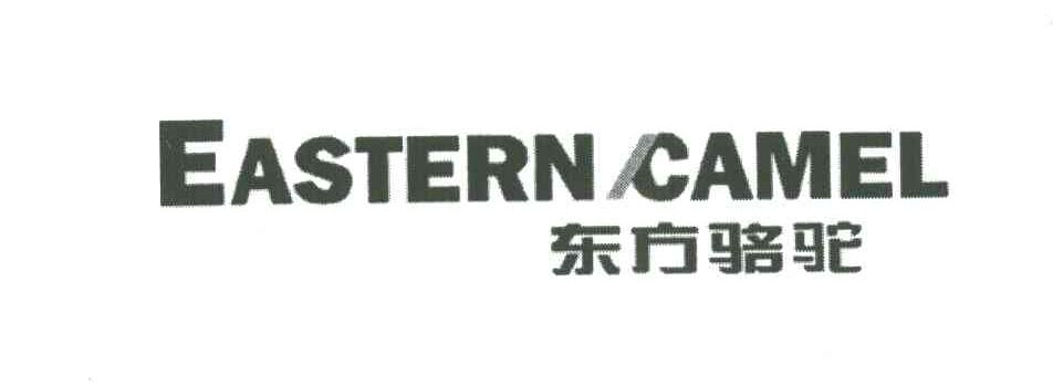 EASTERN CAMEL;东方骆驼