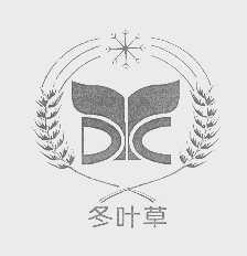 冬叶草